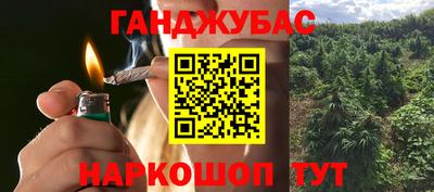 ALPHA PVP Гатчина