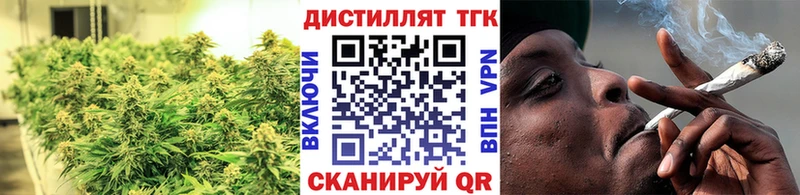 купить закладку Камышин ТГК концентрат