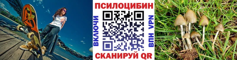 Псилоцибиновые грибы прущие грибы  Камышин 