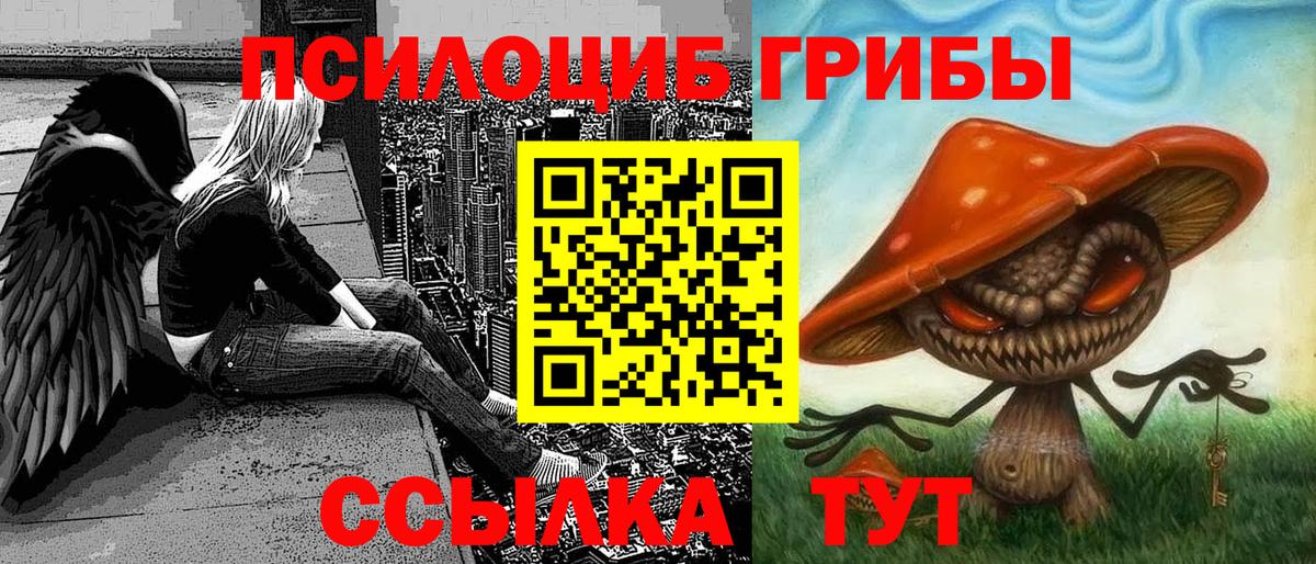 Галлюциногенные грибы Psilocybine cubensis Камышин