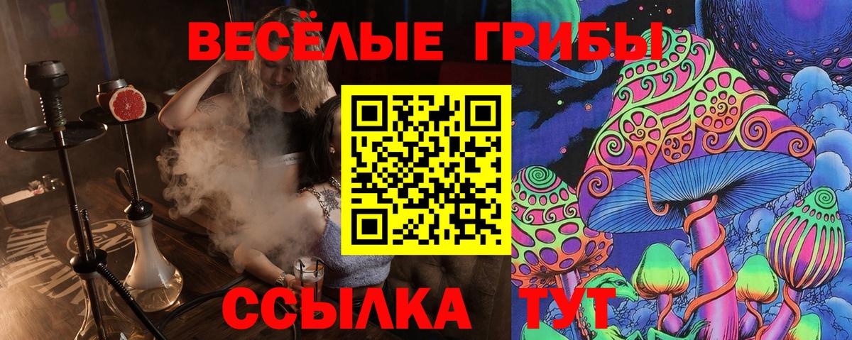 Псилоцибиновые грибы ЛСД  Вход с VPN  Камышин 
